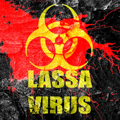 Lassa virus concept background