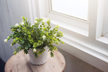White flower in white flowerpot on wood table near a window.