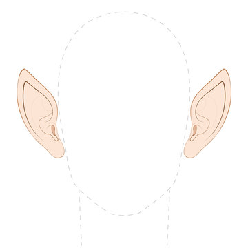 Pointed ears of an elf, fairy, vampire or other fantasy creature, with empty space between them to insert any photo. Isolated vector illustration on white background.