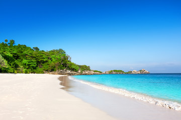 Fototapeta na wymiar Tropical white sand beach with palm trees