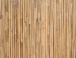 bamboo fence