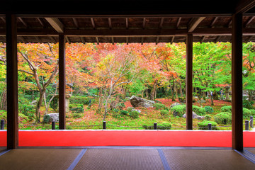 Autumn foliage at Enkoji in Kyoto