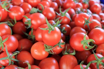 Cherry tomatoes Fresh ripe crop on a large table