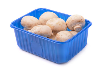 Mushrooms in plastic box