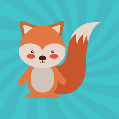 animal cartoon design 