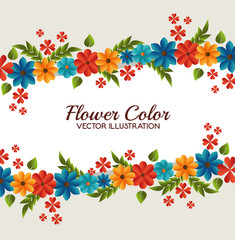 flower color design 