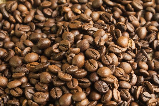 coffee beans roasted Brown background