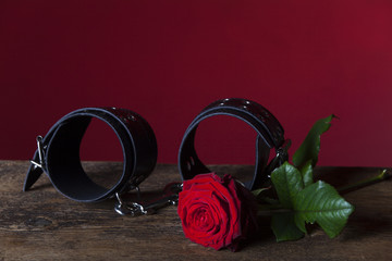 Handfessel und Rose