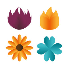 flower color design 