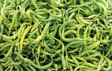 Green pepper bitter sharp big harvest on a table
