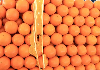 Oranges tropical fruits big harvest