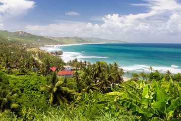 top view of tropical island Barbados, Caribbean - obrazy, fototapety, plakaty