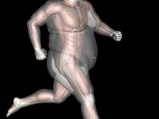 Fototapeta na wymiar Human man fat and slim concept isolated
