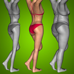 Conceptual 3D woman as fat vs fit anorexic
