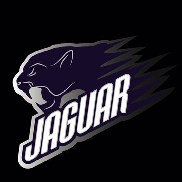Head Jaguar  professional  logo for a club