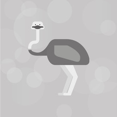 animal cartoon design 