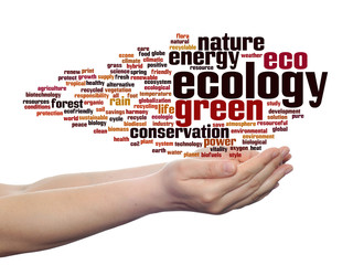 Conceptual ecology word cloud isolated