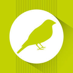 animal cartoon design 