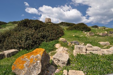Ancient Tharros, Sardinia