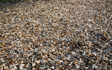 wooden chips