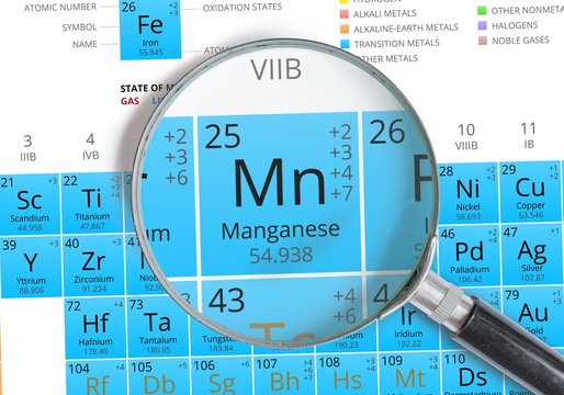 Manganese Symbol - Mn. Element Of The Periodic Table Zoomed With Mignifier