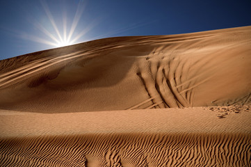 Sole sulle dune