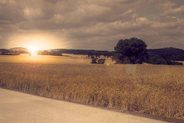 Fototapeta na wymiar Sonnenuntergang in Polen