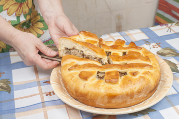 Cutting tasty pie with filling on the plate