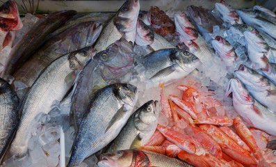 Etalage d'un poissonnier