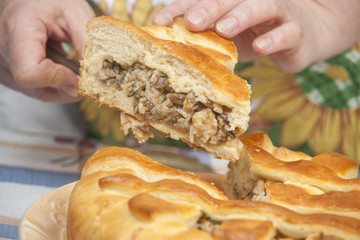 Cutting tasty pie with filling on the plate