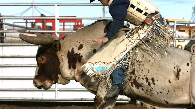 Man riding a bull, slow motion