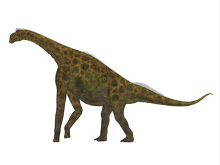 Atlasaurus Side Profile - Atlasaurus was a large herbivorous dinosaur that lived in the Jurassic Period of Morocco, North Africa.