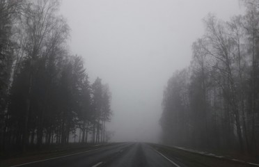 Road in the fog