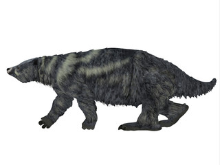 Obraz na płótnie Canvas Eremotherium Sloth Side Profile - Eremotherium was one of the largest ground sloths that lived in North and South America in the Pleistocene Period.