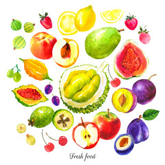 Illustration with watercolor food. Sketch set of fresh fruits.