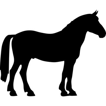 black horse silhouette 