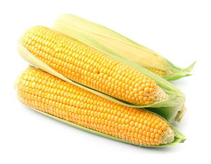 Fresh corn ear