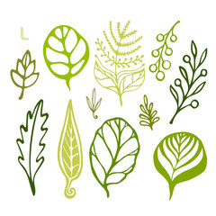 Handsketched leaves doodles set. Green silhouettes on white background. Vector