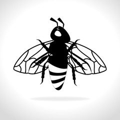 organic product design 