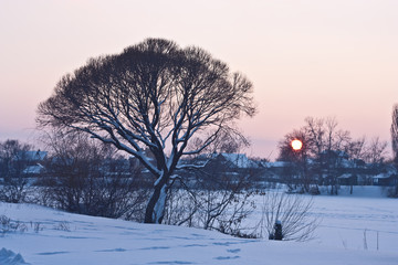 Evening winter landscape with village and trees on the riverside