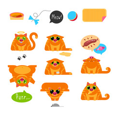 Red Cat Life Set 