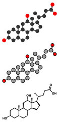 Deoxycholic acid bile acid molecule. Also used as drug.