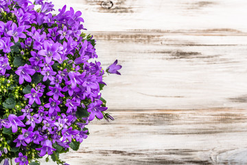 Spring flowers background with copy space.