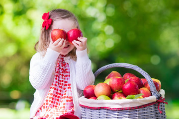 Little girl picking apples in fruit orchard