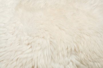 White fur background