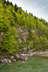 River in Carpathians mountains in spring