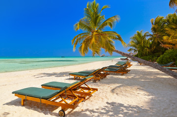 Maldives beach