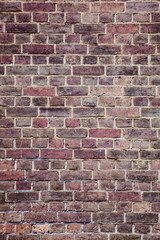 old brick wall background, purple tone