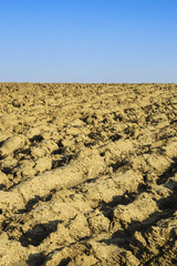 Terres labourées