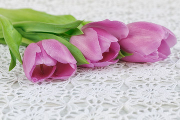 Purple tulips on a beautiful crochet tablecloth